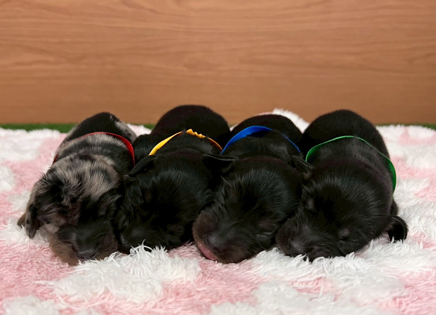 赤ちゃん写真1-3
