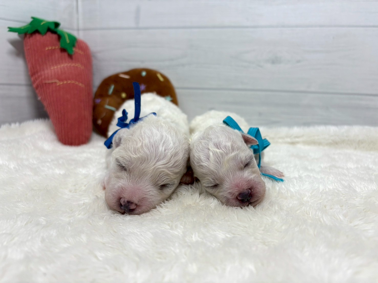 赤ちゃん写真1-3