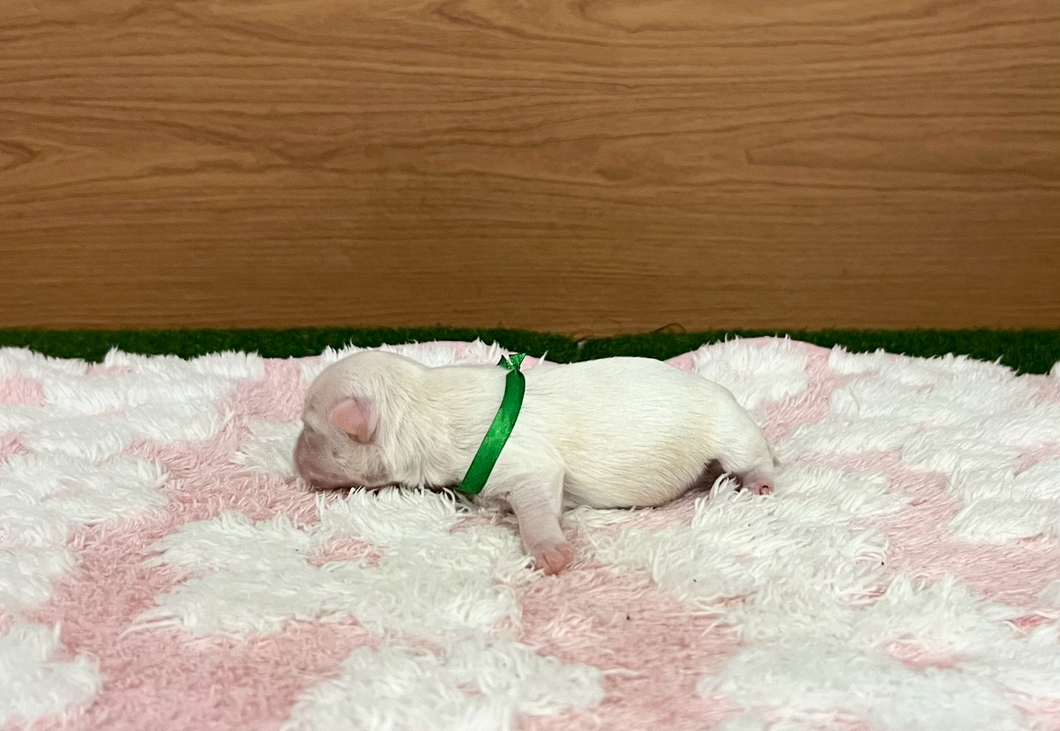赤ちゃん写真1-2