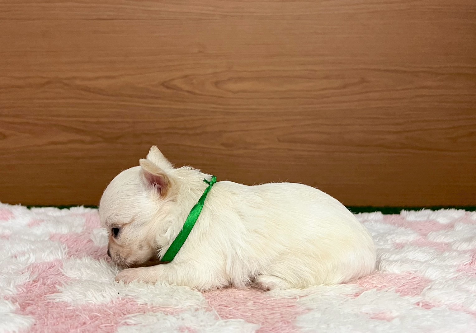 赤ちゃん写真2-2