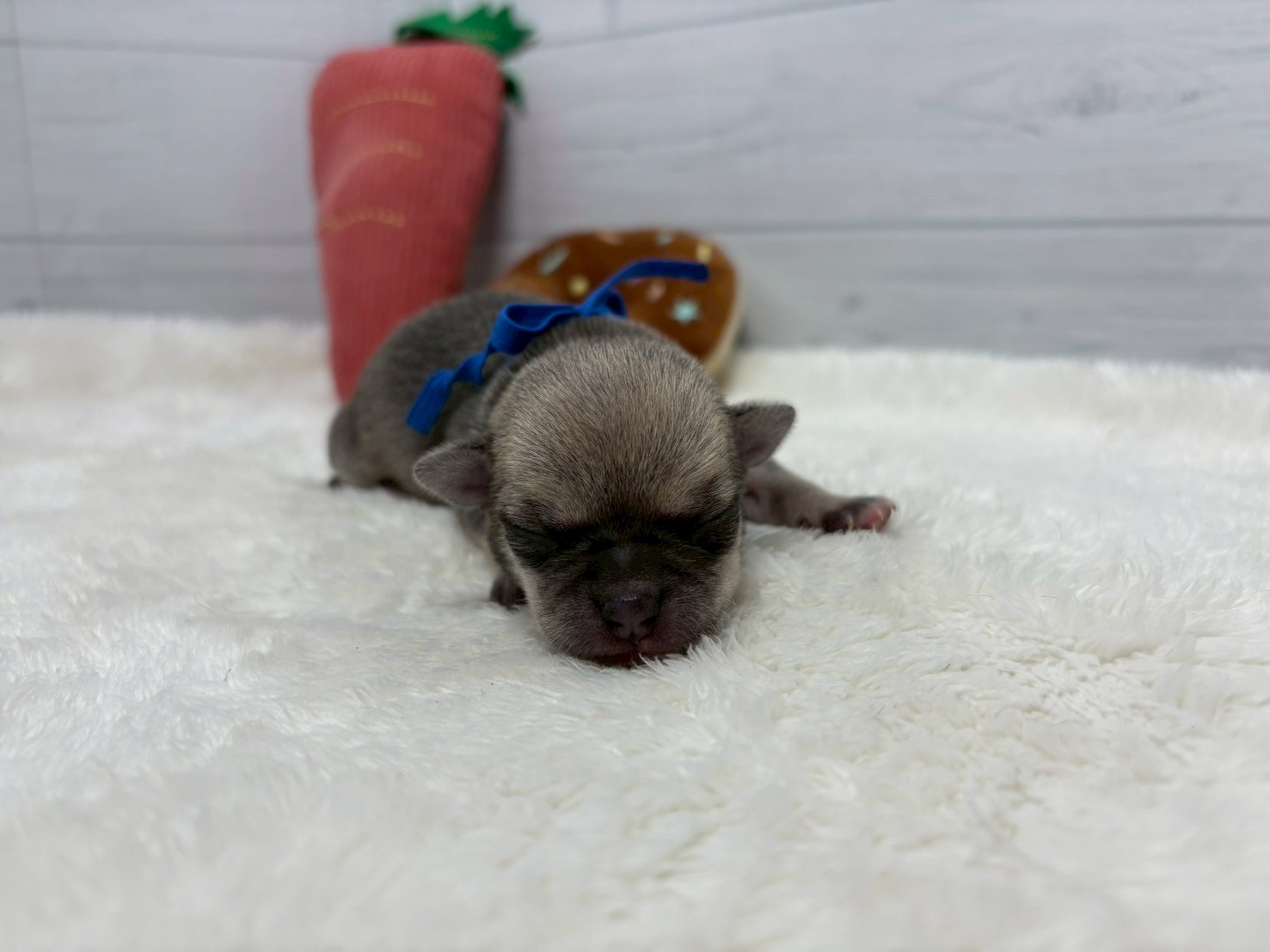 赤ちゃん写真1-1