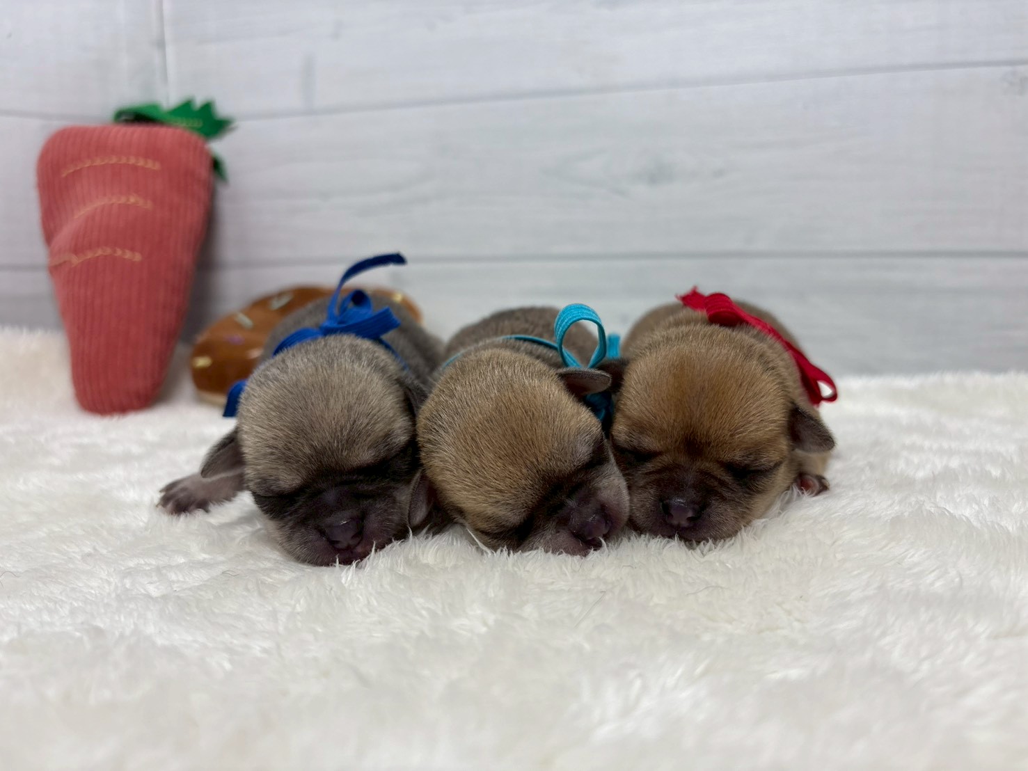 赤ちゃん写真1-3