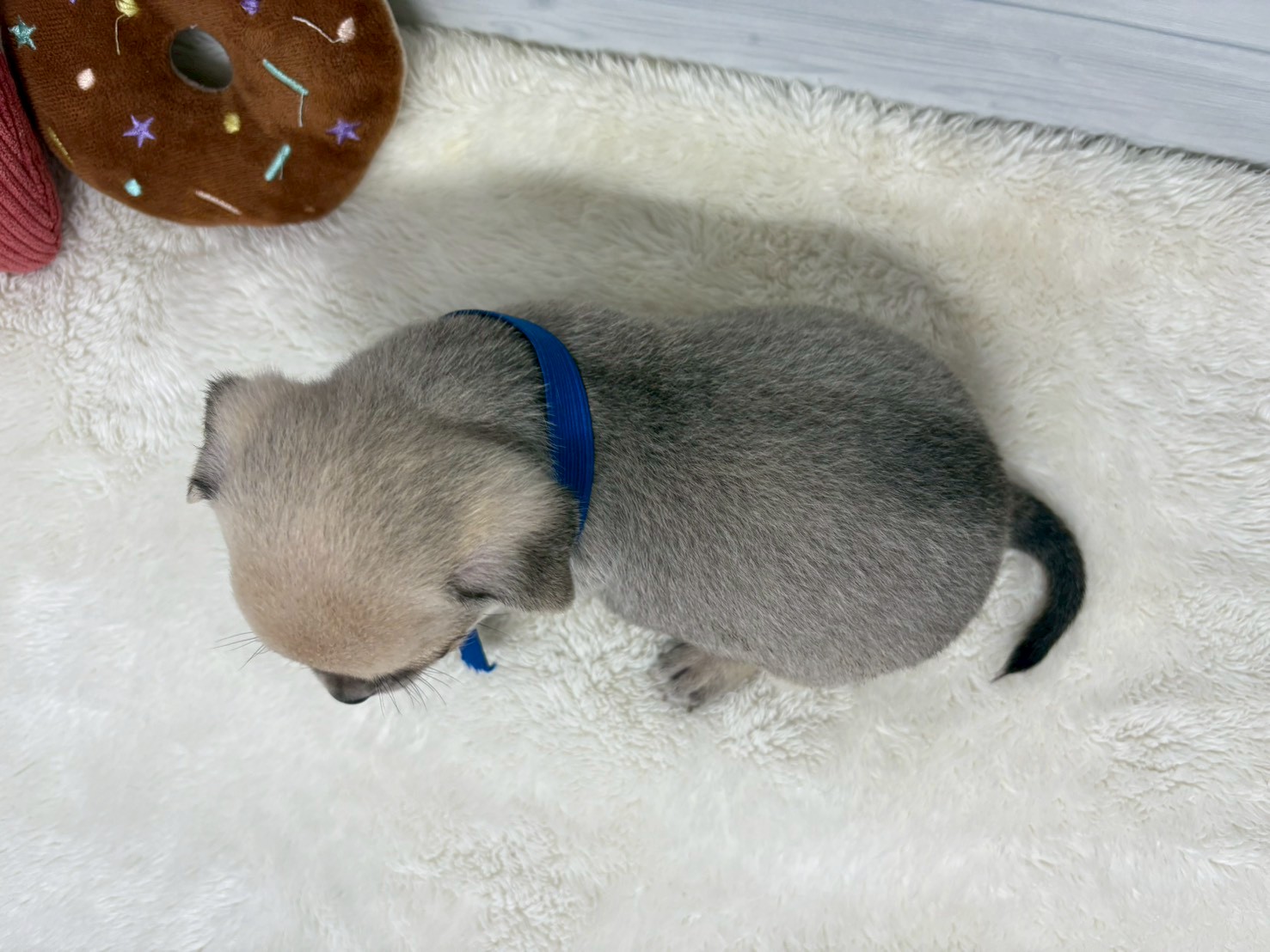 赤ちゃん写真2-3
