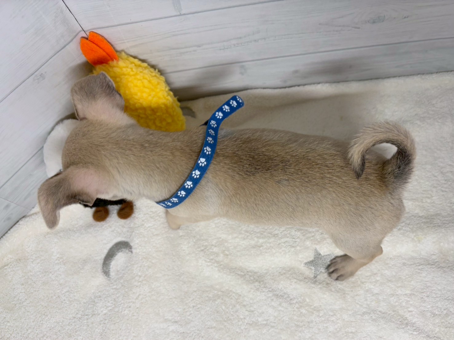 赤ちゃん写真3-3