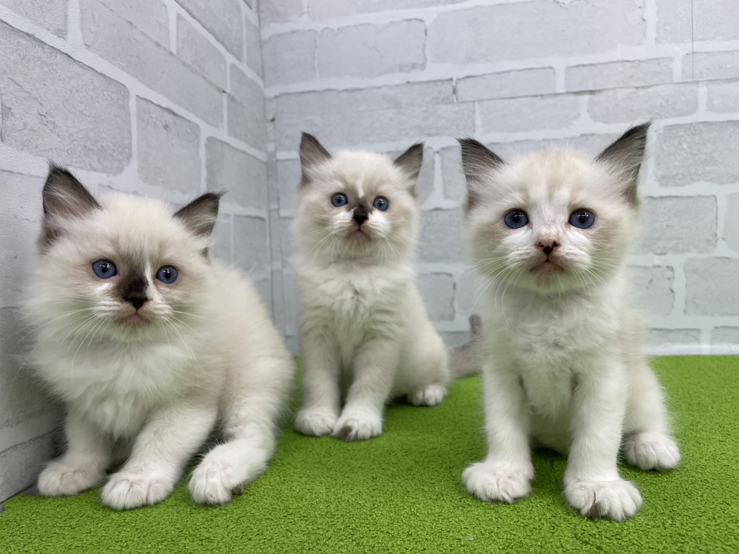 赤ちゃん写真2-3