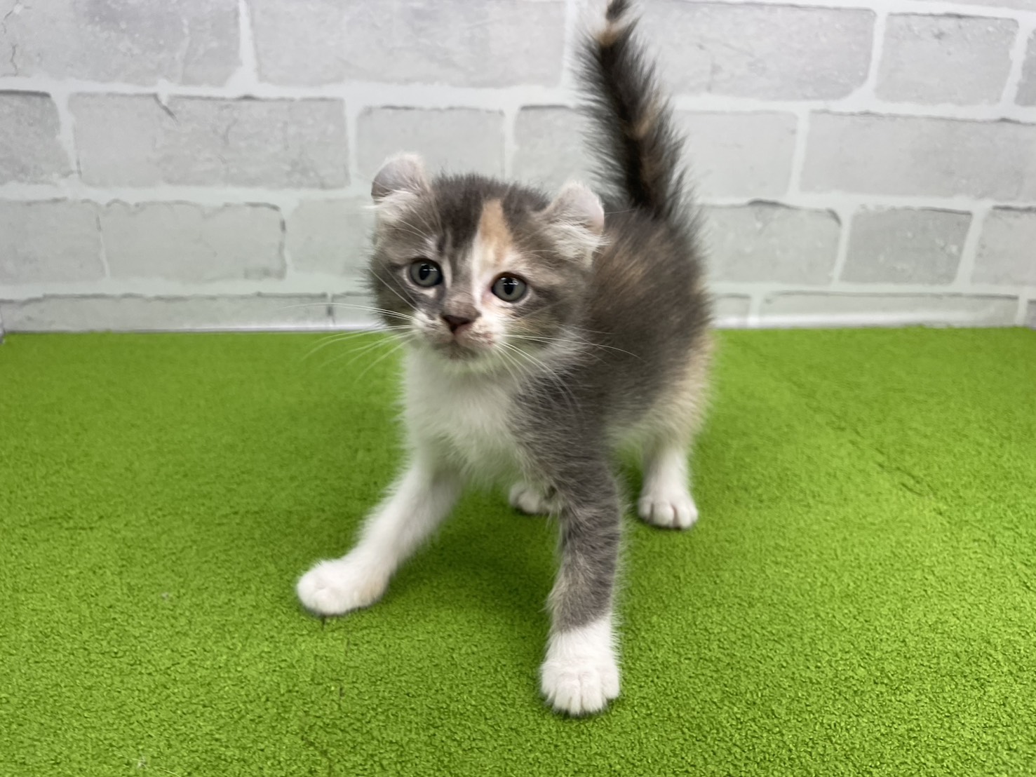 赤ちゃん写真2-1