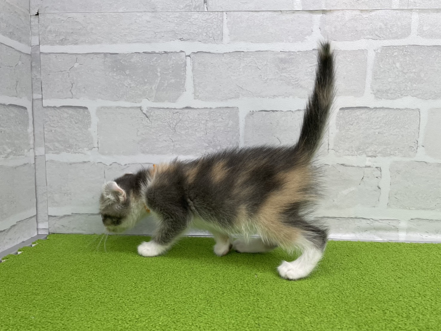 赤ちゃん写真2-2