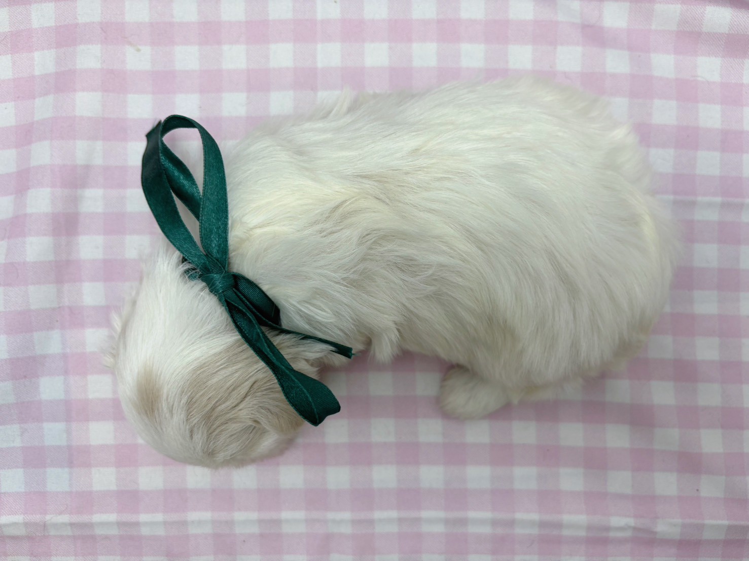 赤ちゃん写真2-3