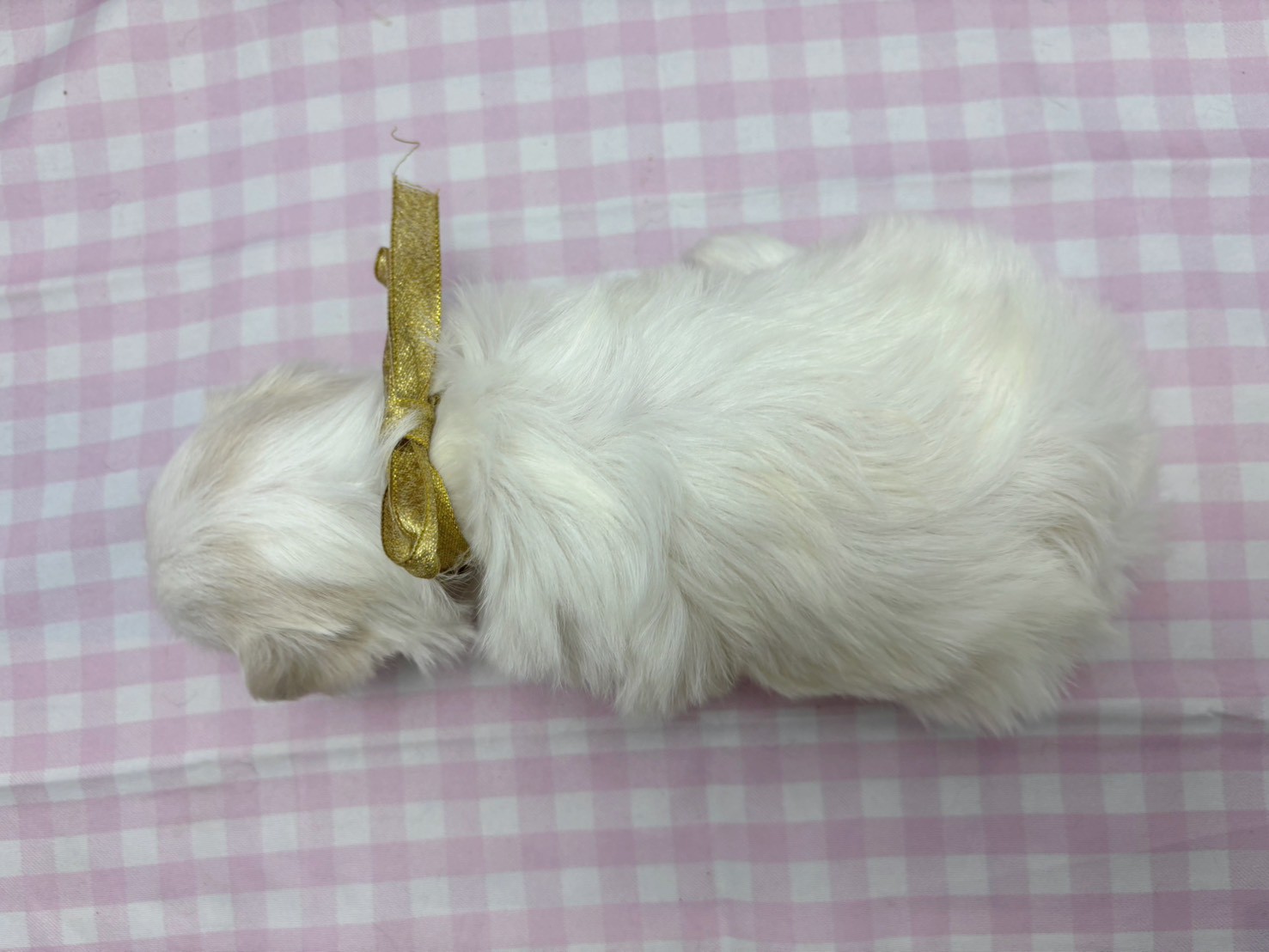 赤ちゃん写真2-3