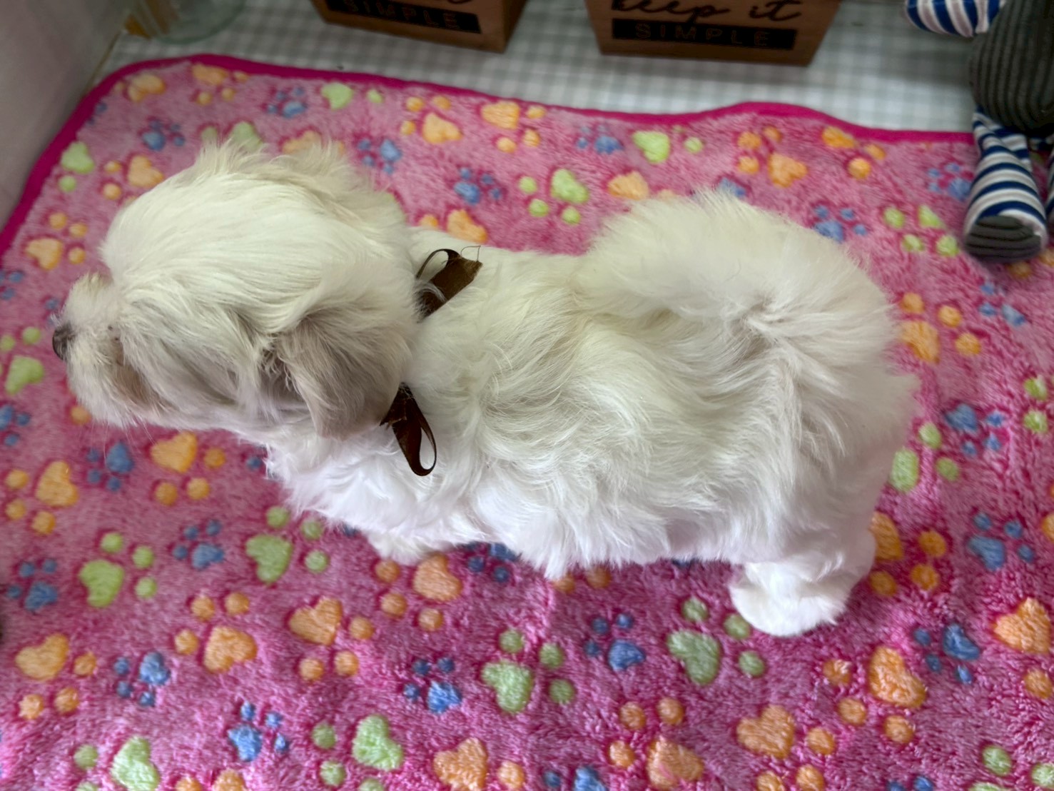 赤ちゃん写真3-3