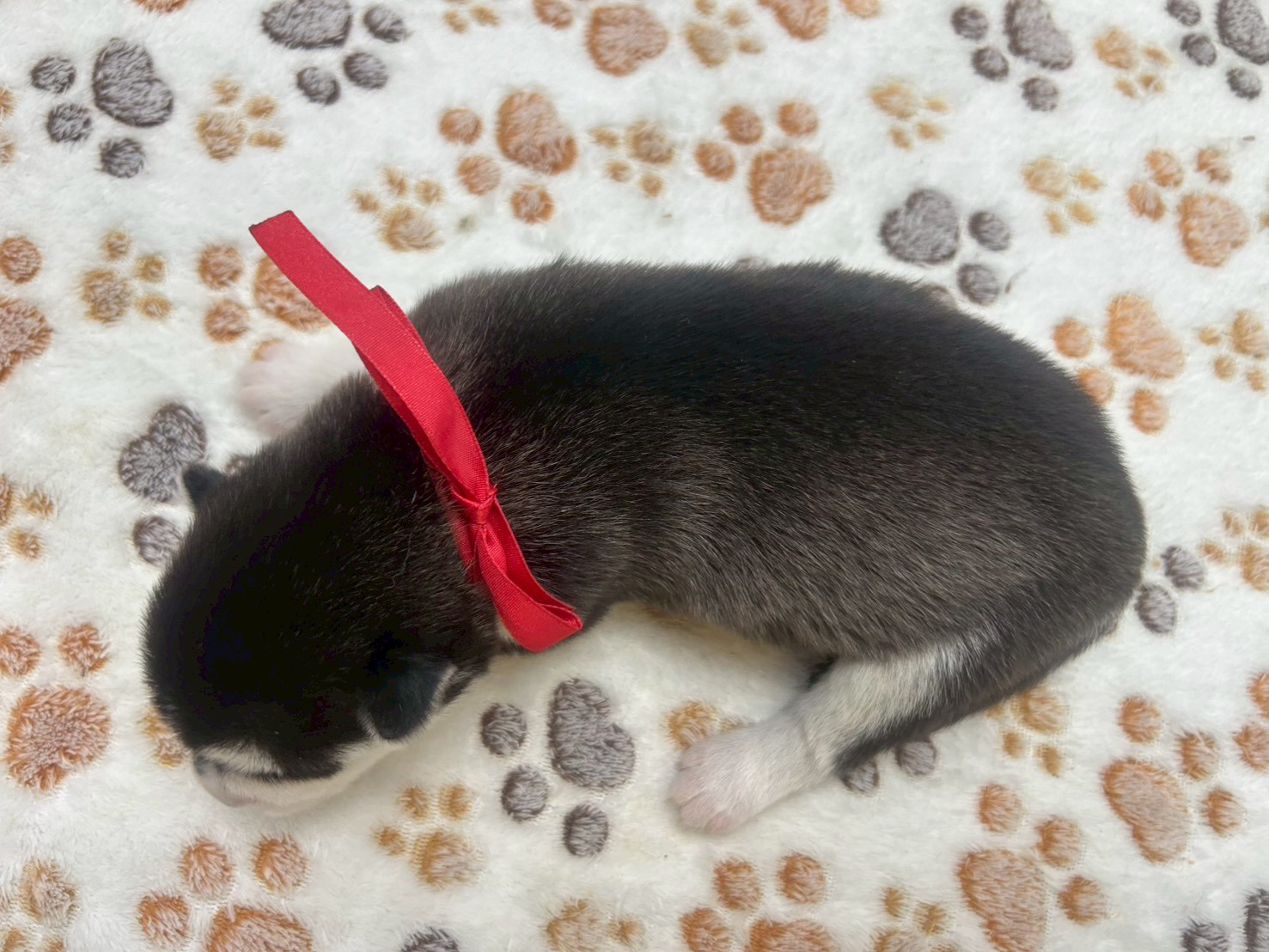 赤ちゃん写真1-3