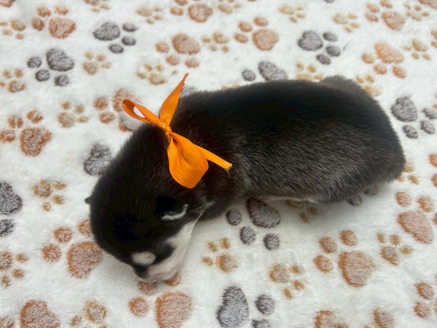 赤ちゃん写真1-3