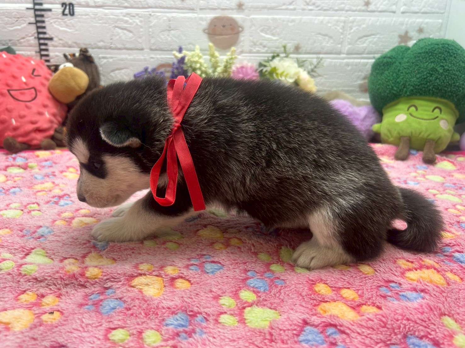 赤ちゃん写真2-2