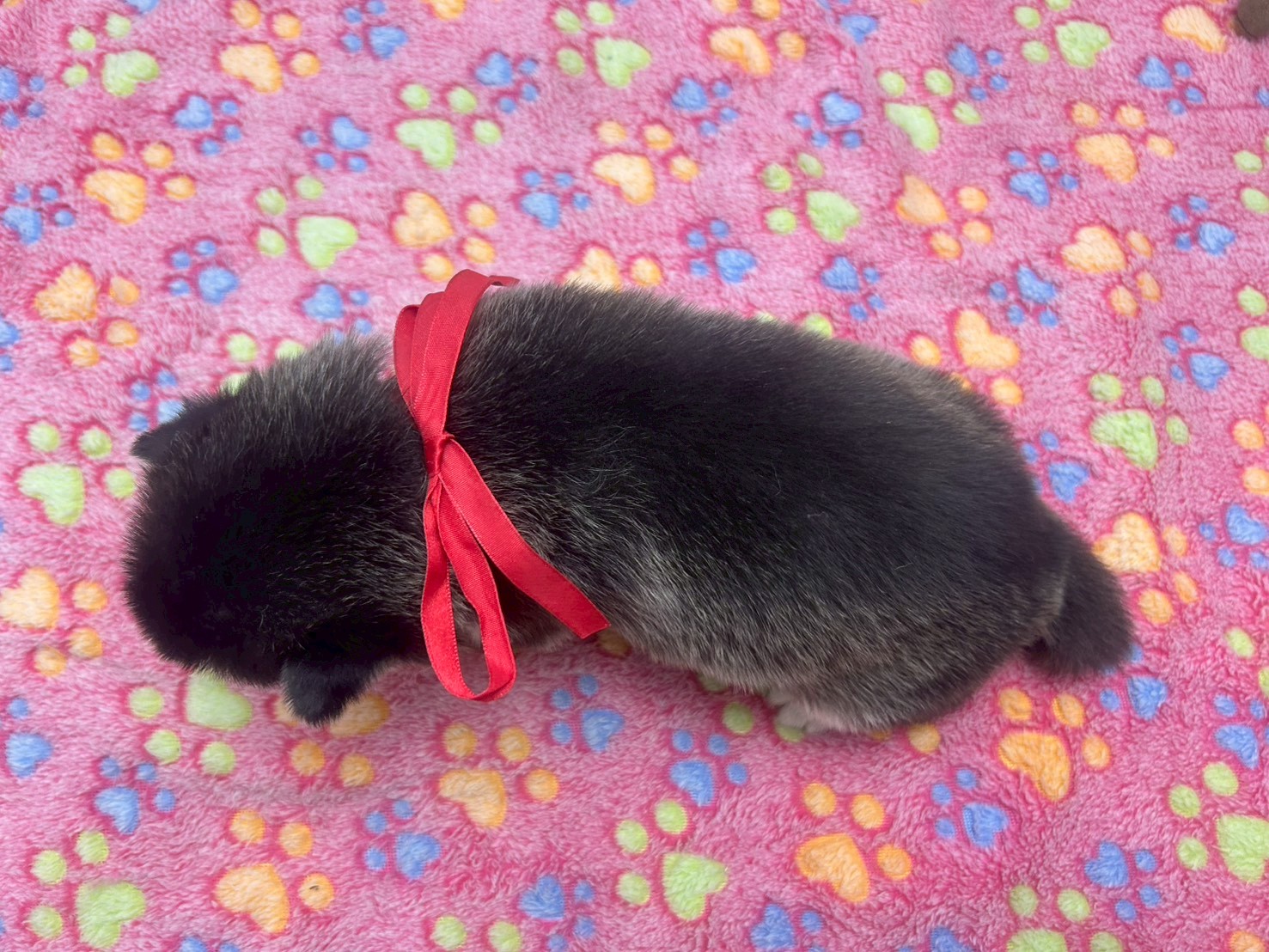 赤ちゃん写真2-3