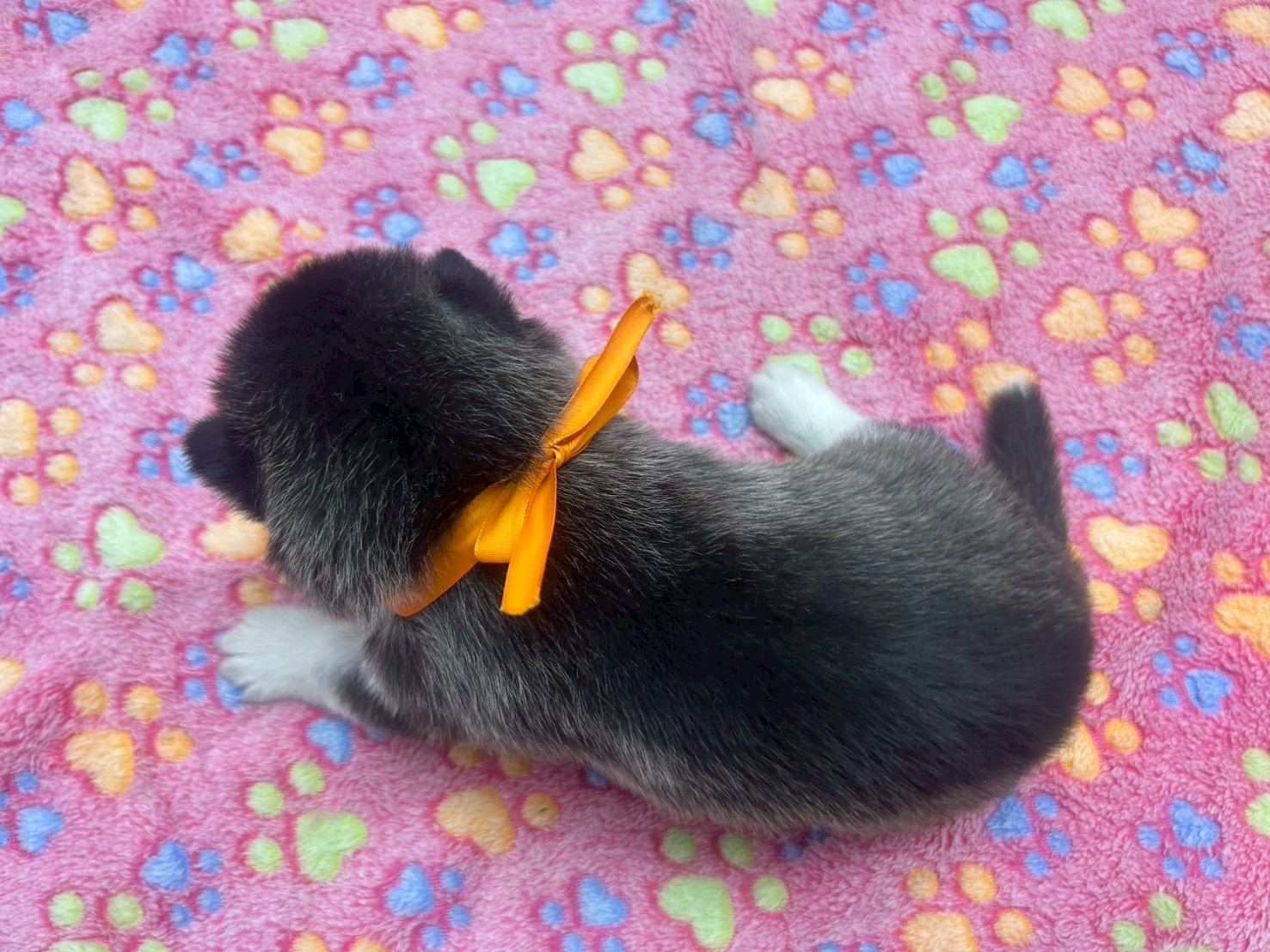 赤ちゃん写真2-3