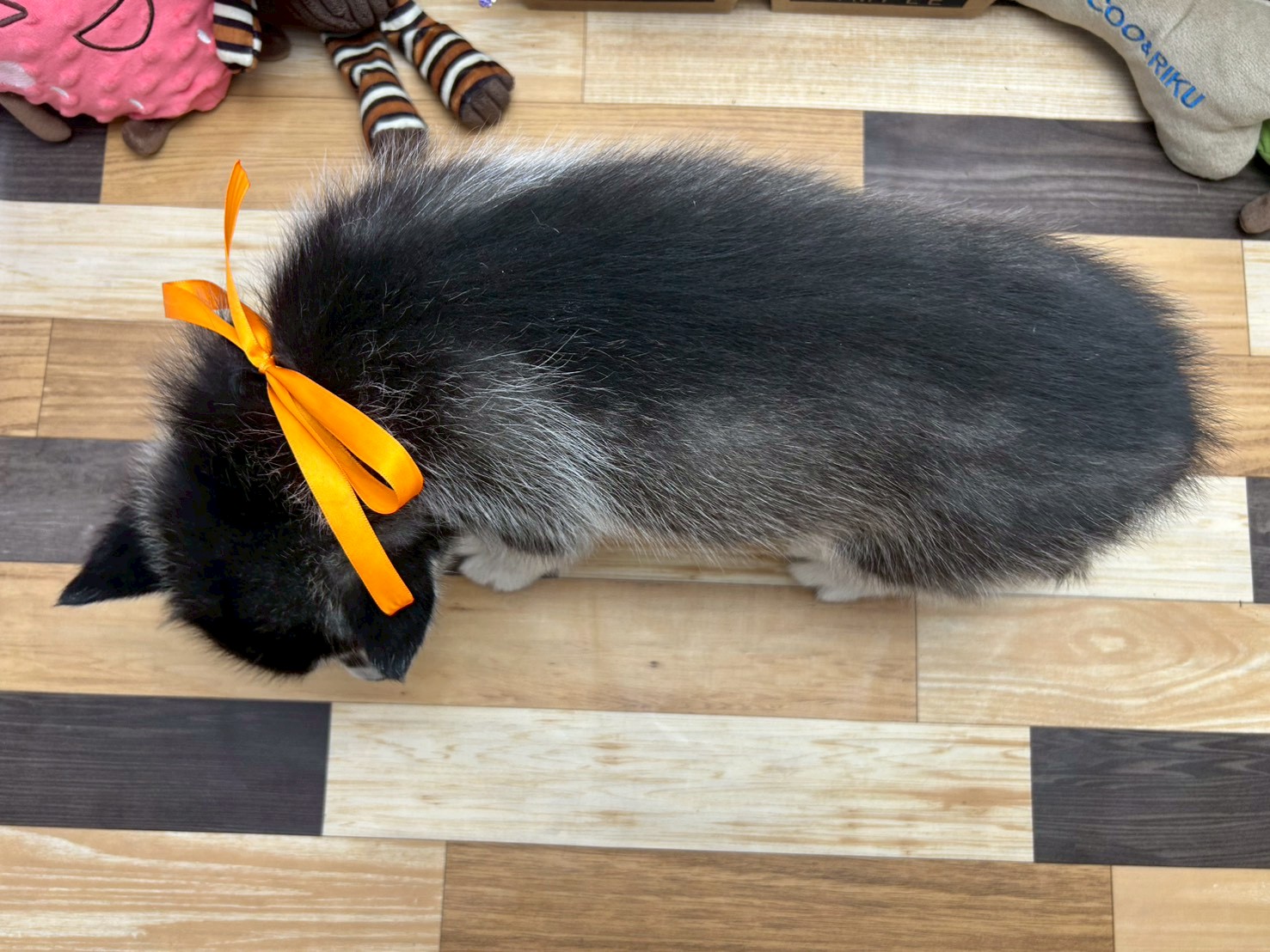 赤ちゃん写真3-3