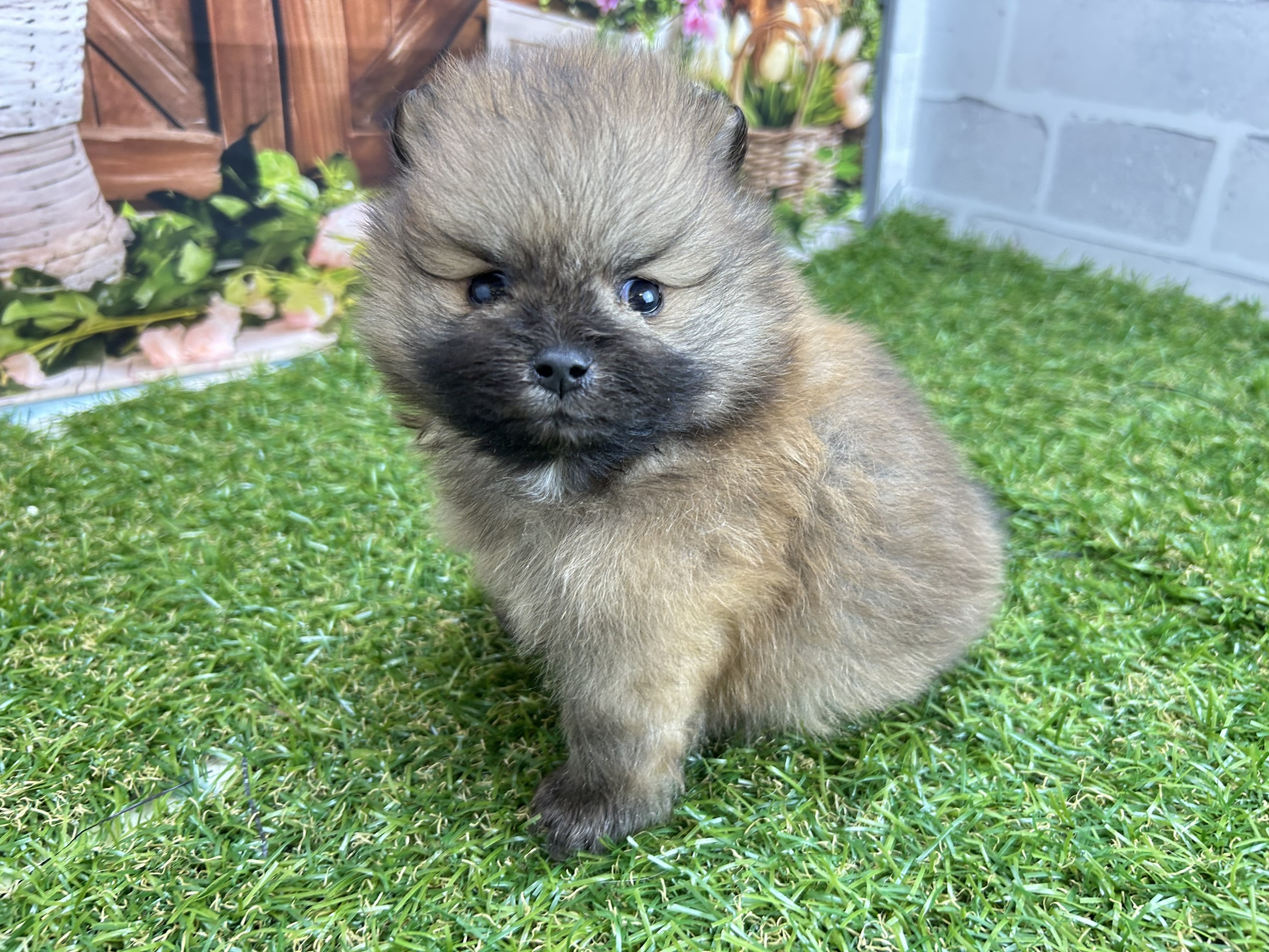 赤ちゃん写真2-2