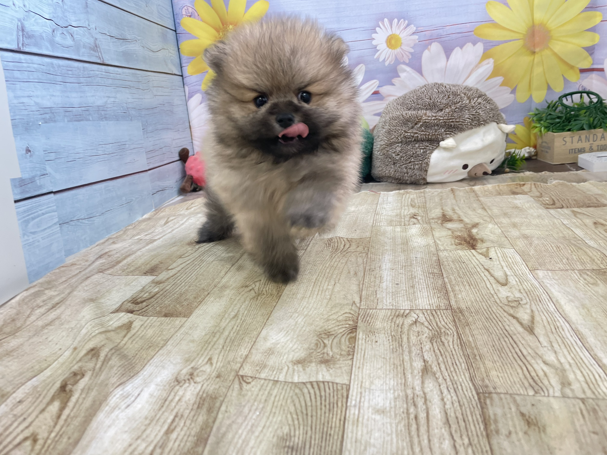 赤ちゃん写真3-1