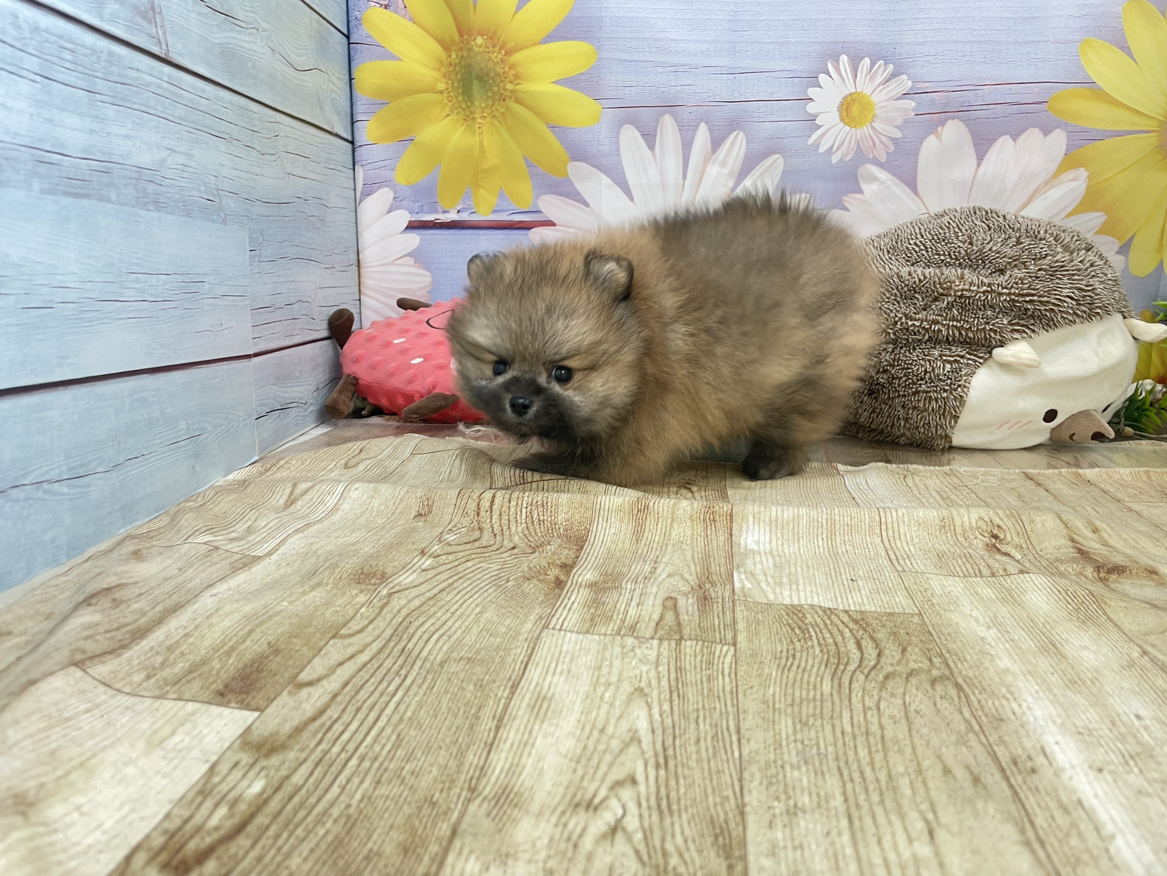赤ちゃん写真3-2