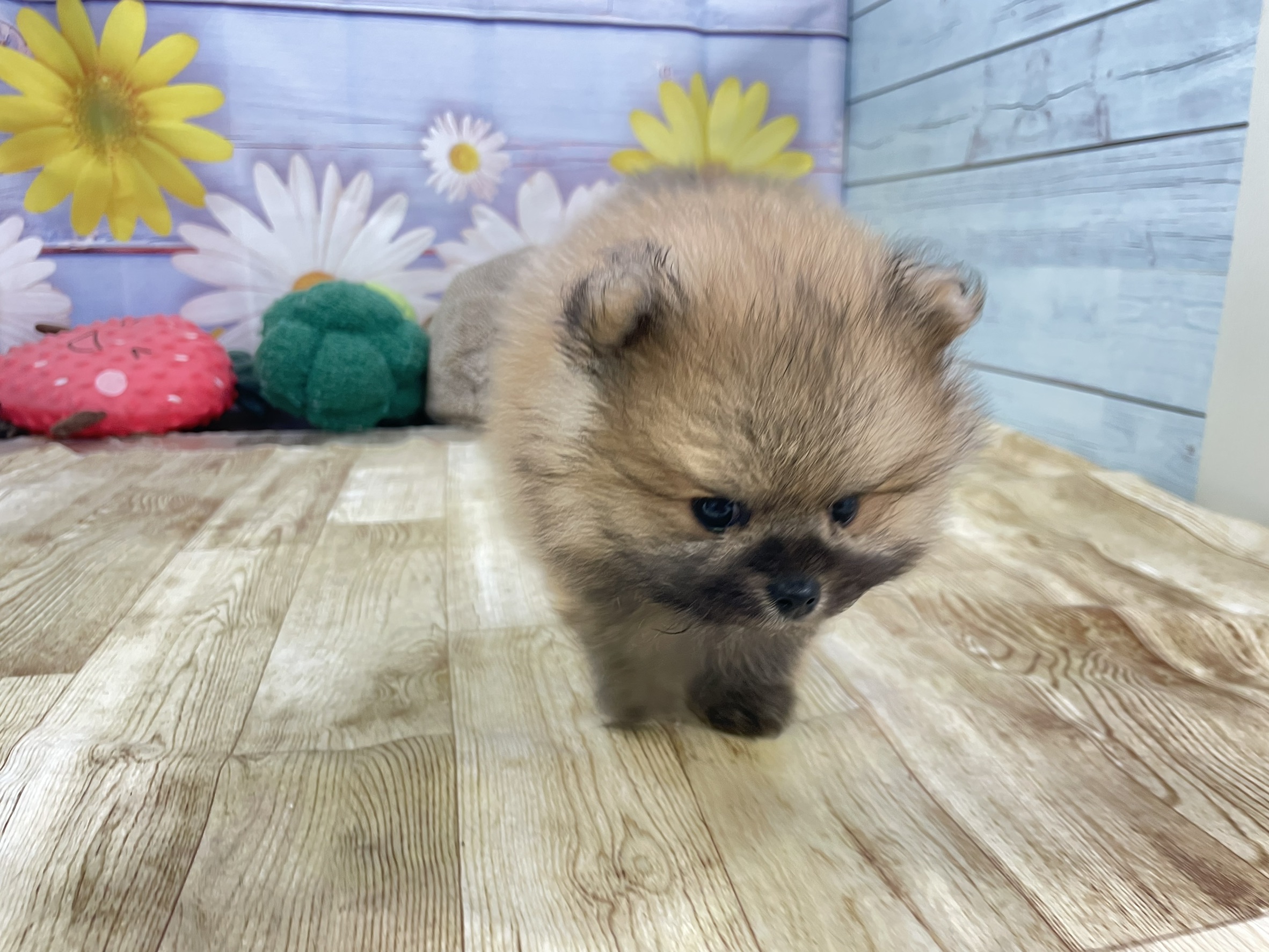 赤ちゃん写真3-3