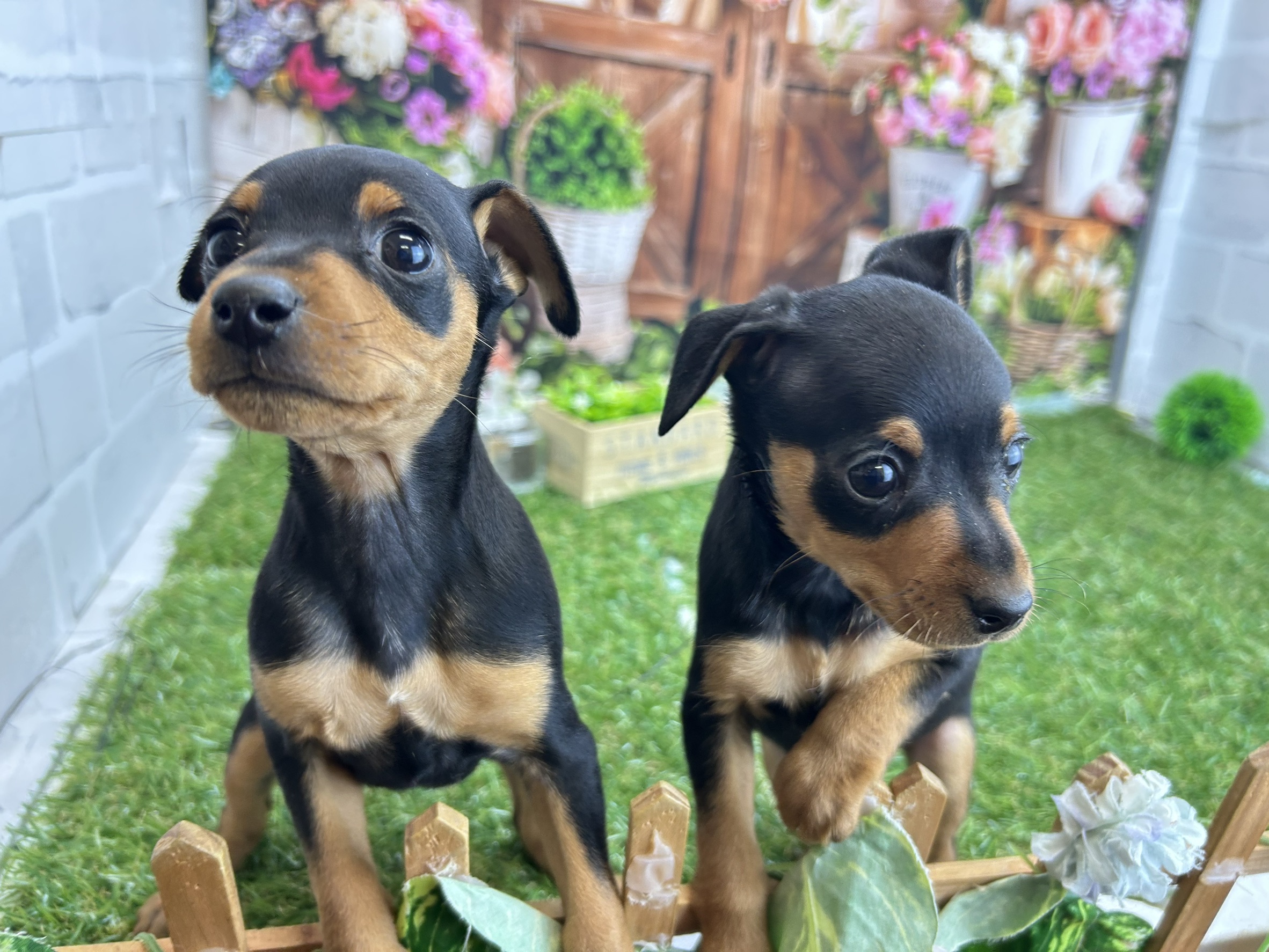 赤ちゃん写真3-3