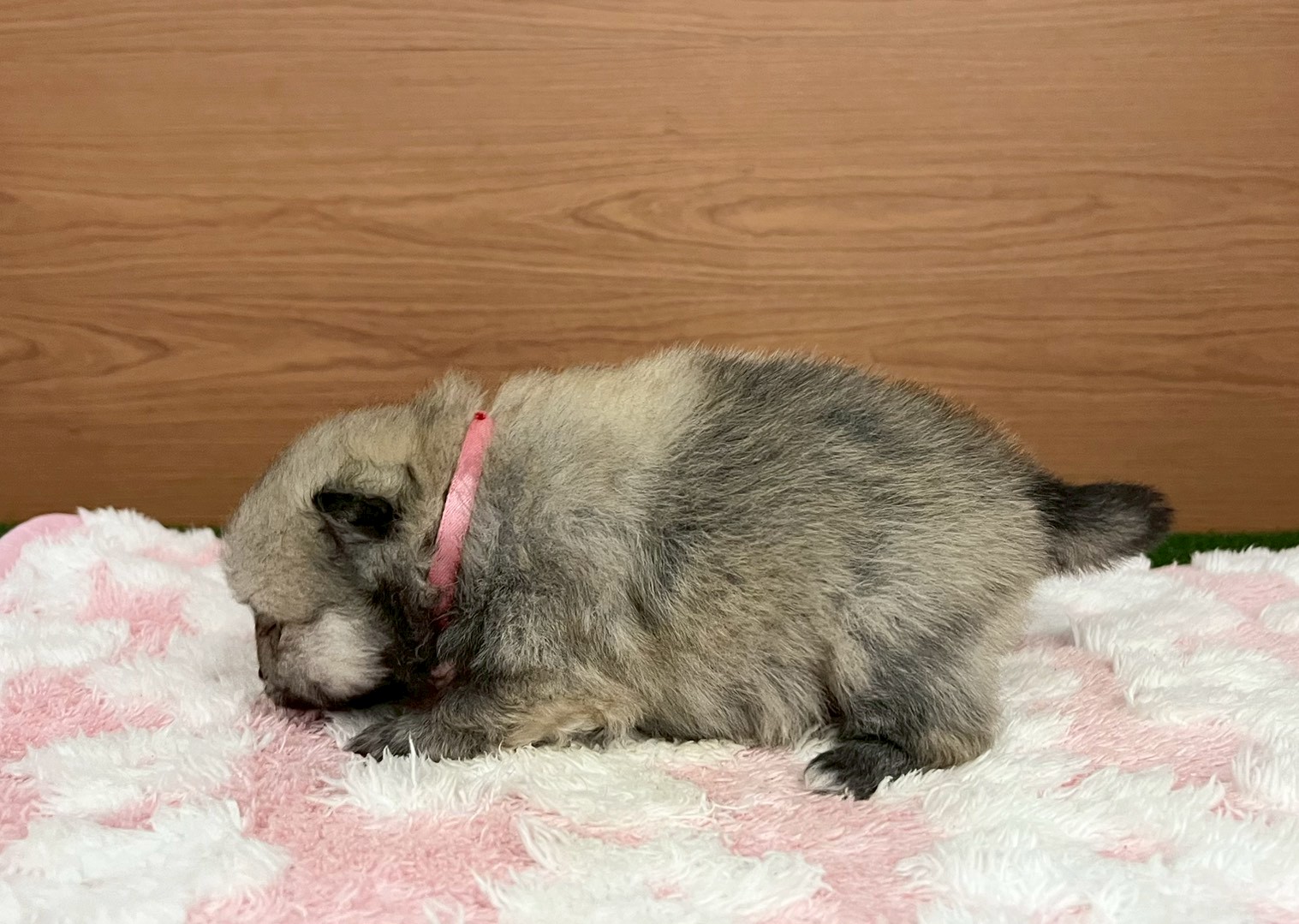 赤ちゃん写真2-2