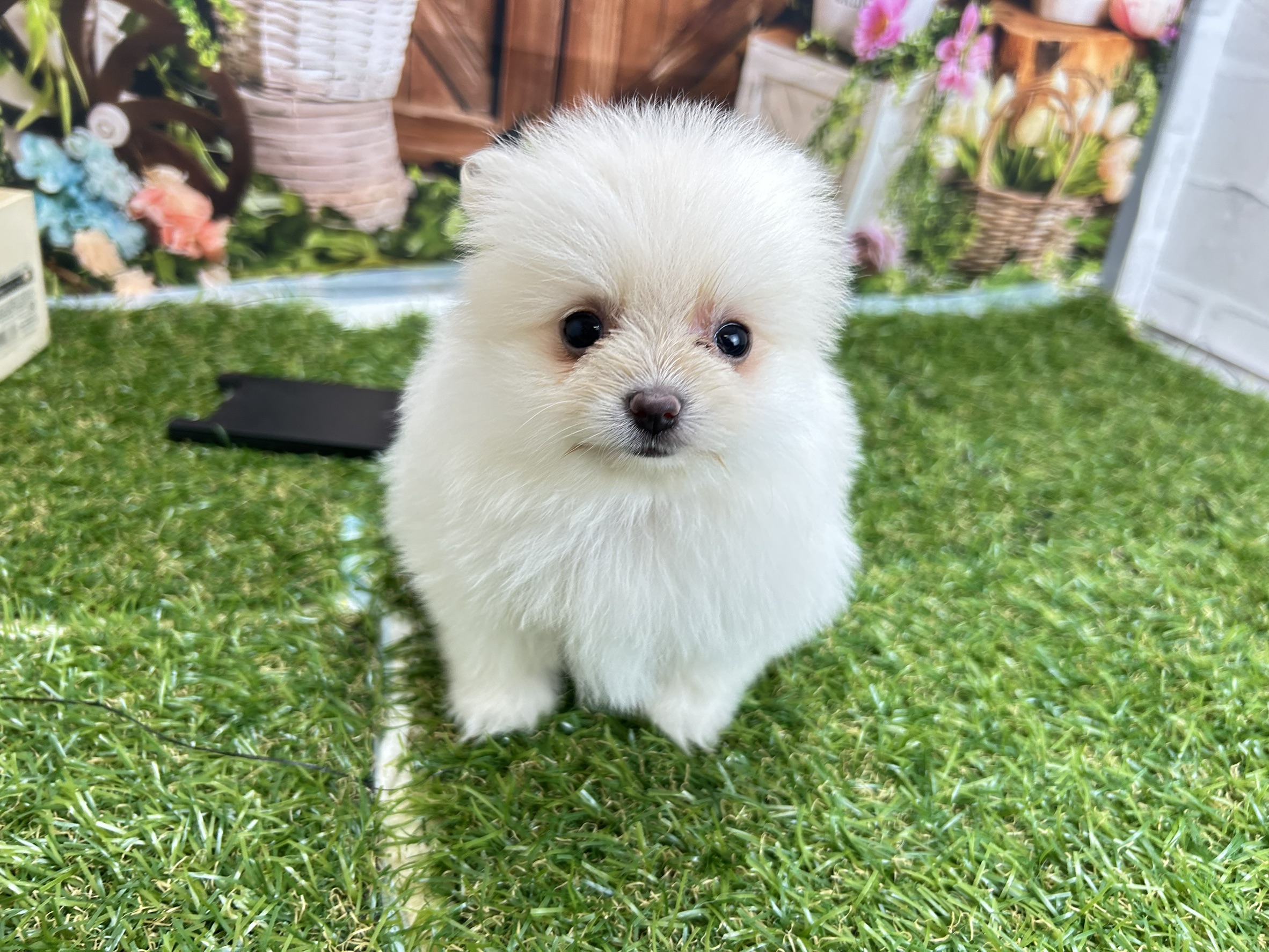 赤ちゃん写真3-1