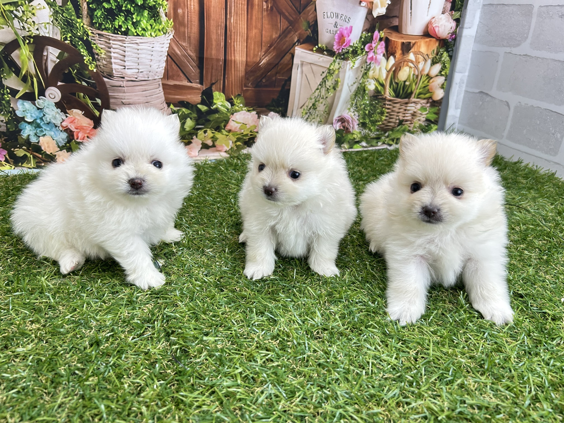赤ちゃん写真2-3