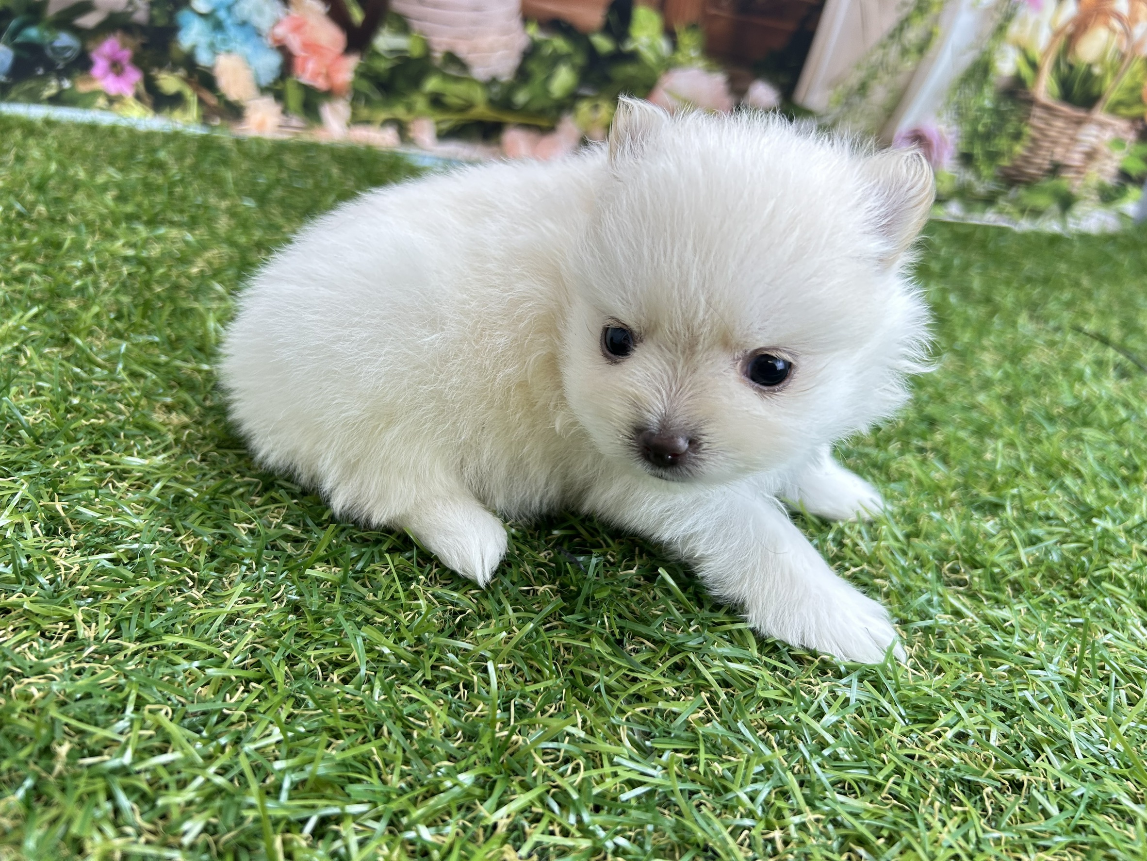赤ちゃん写真2-2