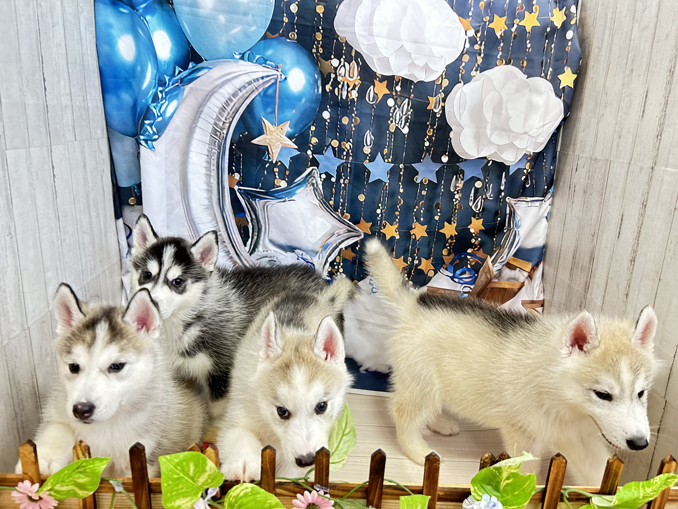 赤ちゃん写真3-3
