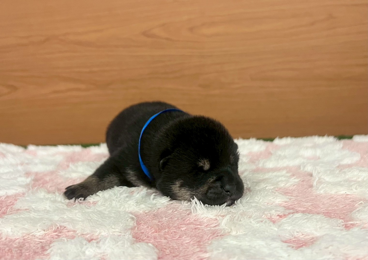赤ちゃん写真1-1