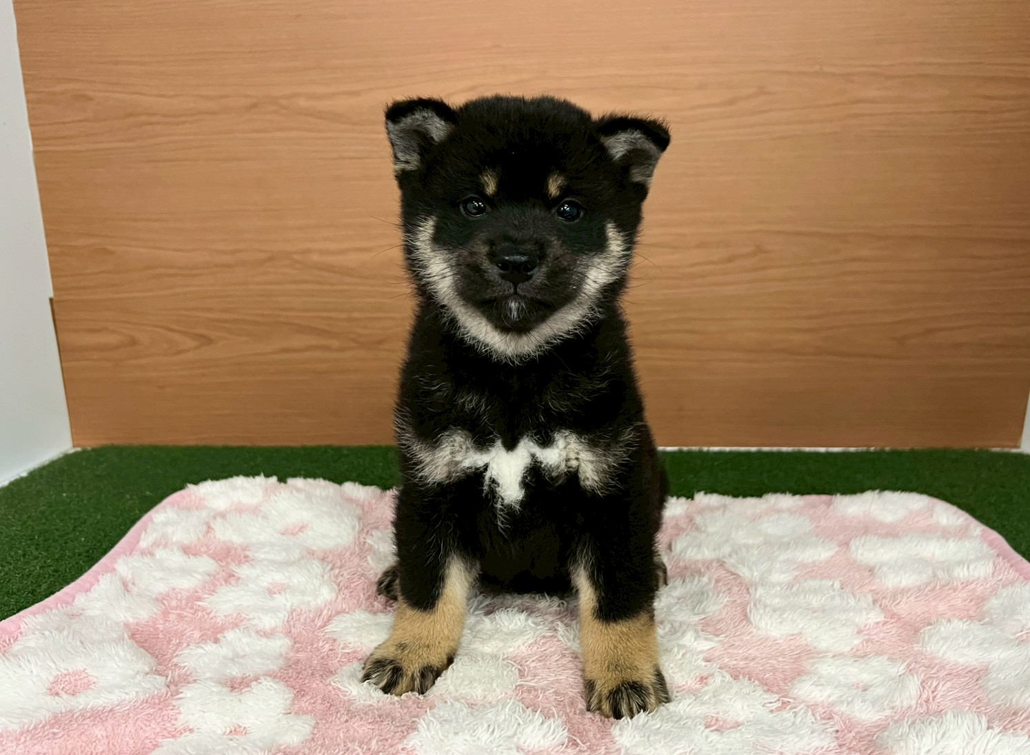 赤ちゃん写真3-1