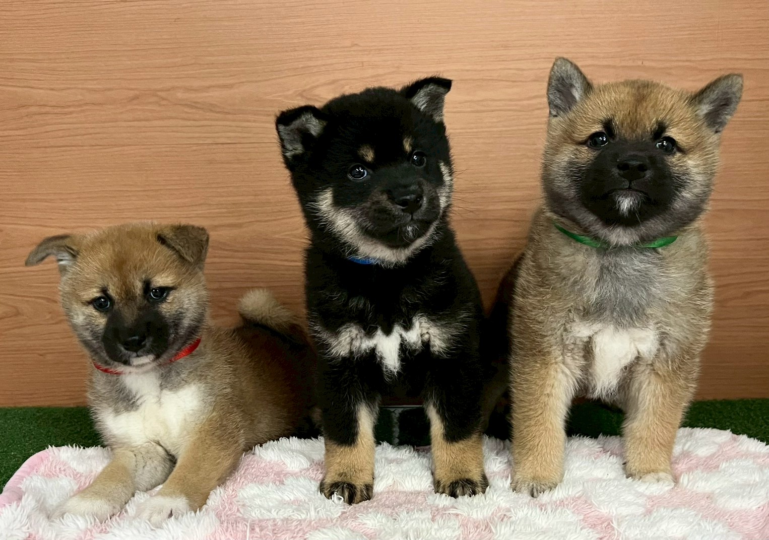 赤ちゃん写真3-3