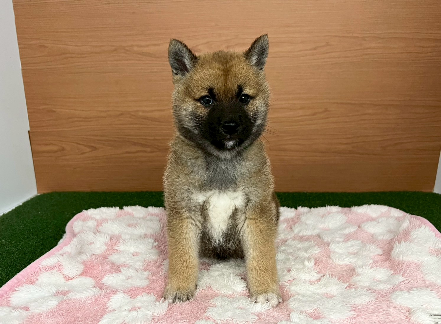 赤ちゃん写真3-1