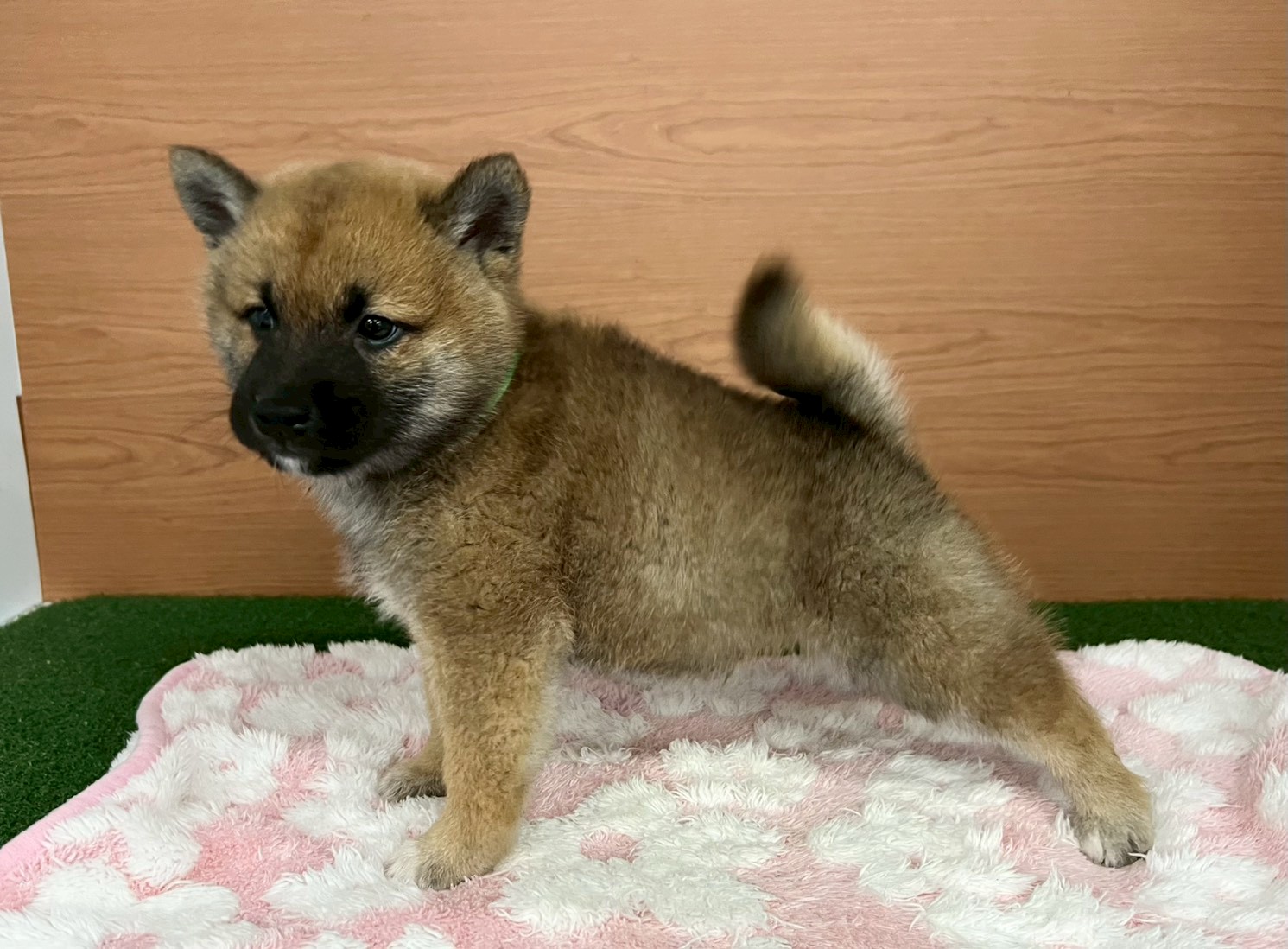 赤ちゃん写真3-2