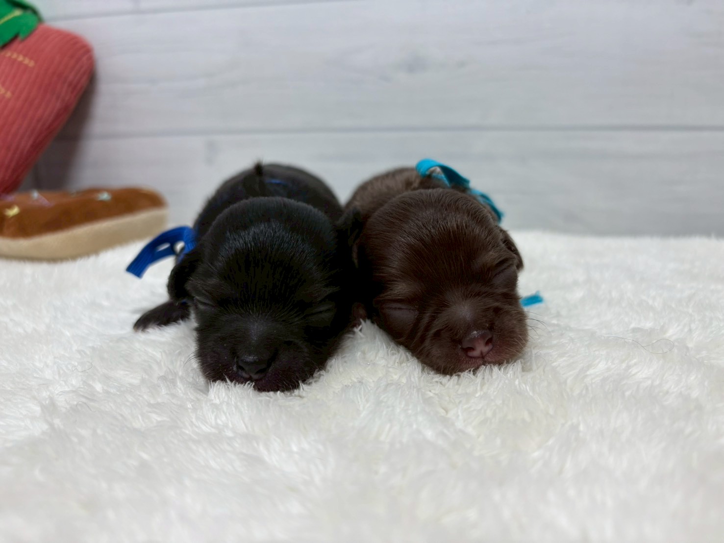 赤ちゃん写真1-3