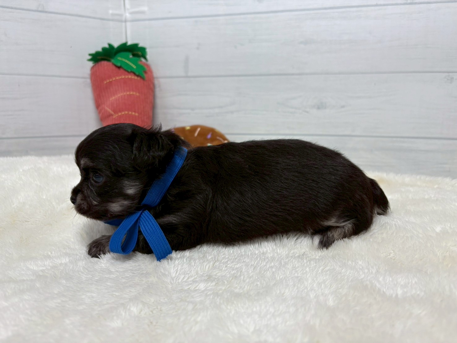 赤ちゃん写真2-2