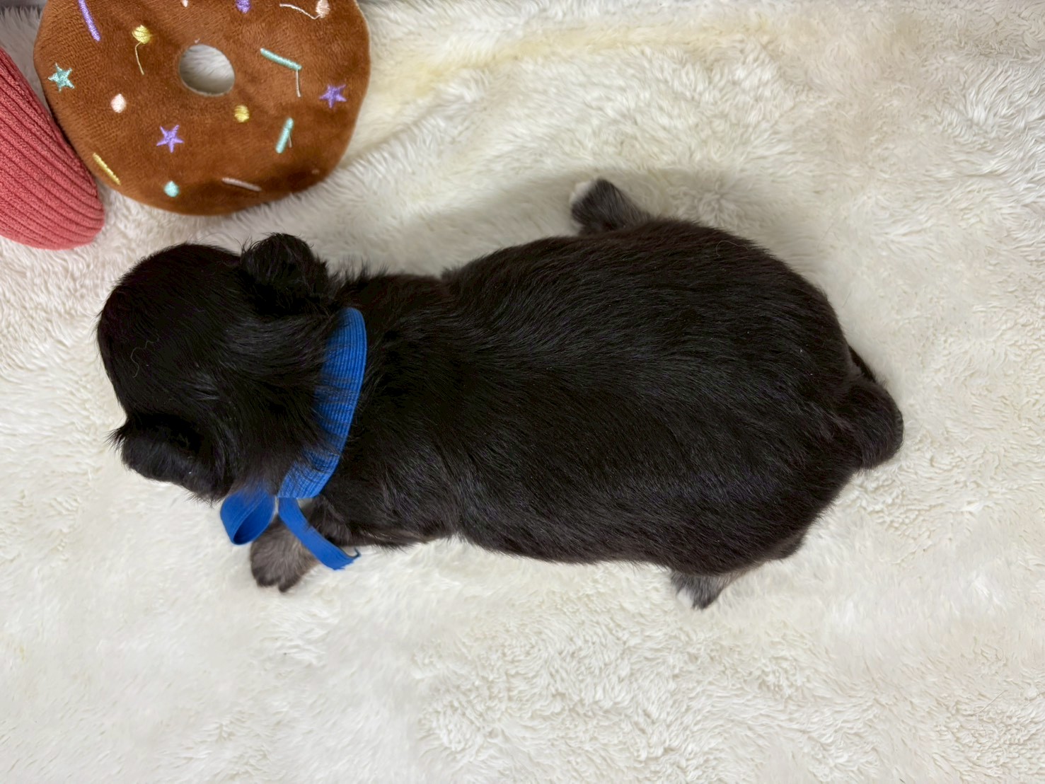 赤ちゃん写真2-3