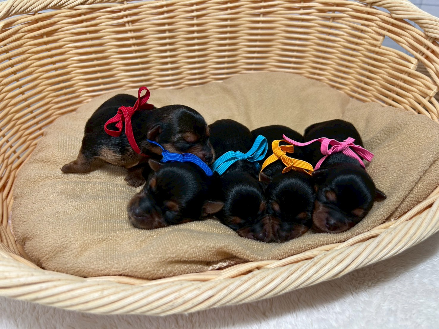 赤ちゃん写真1-3