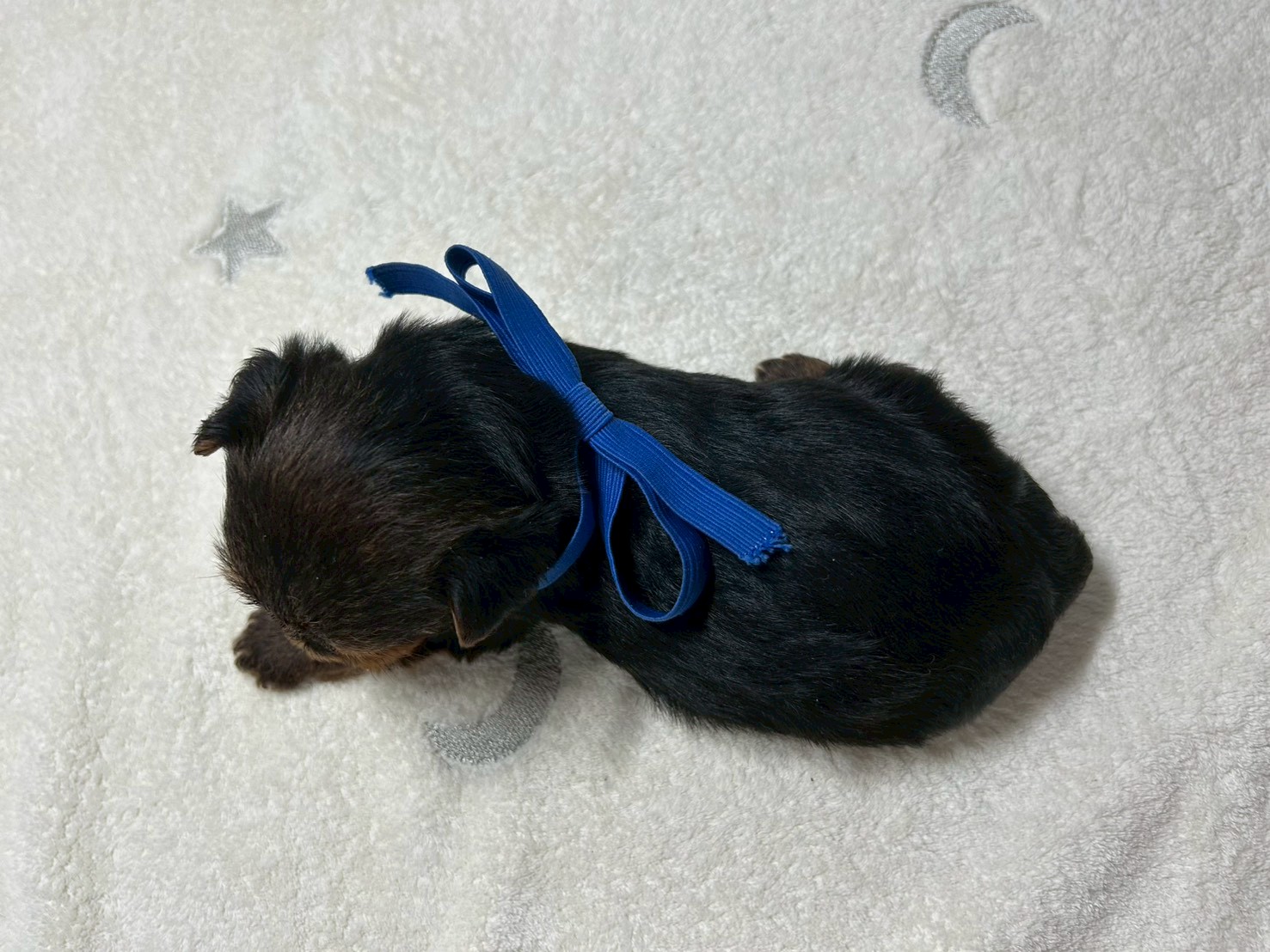 赤ちゃん写真2-3