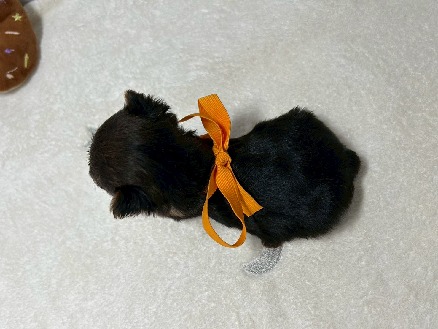 赤ちゃん写真2-3
