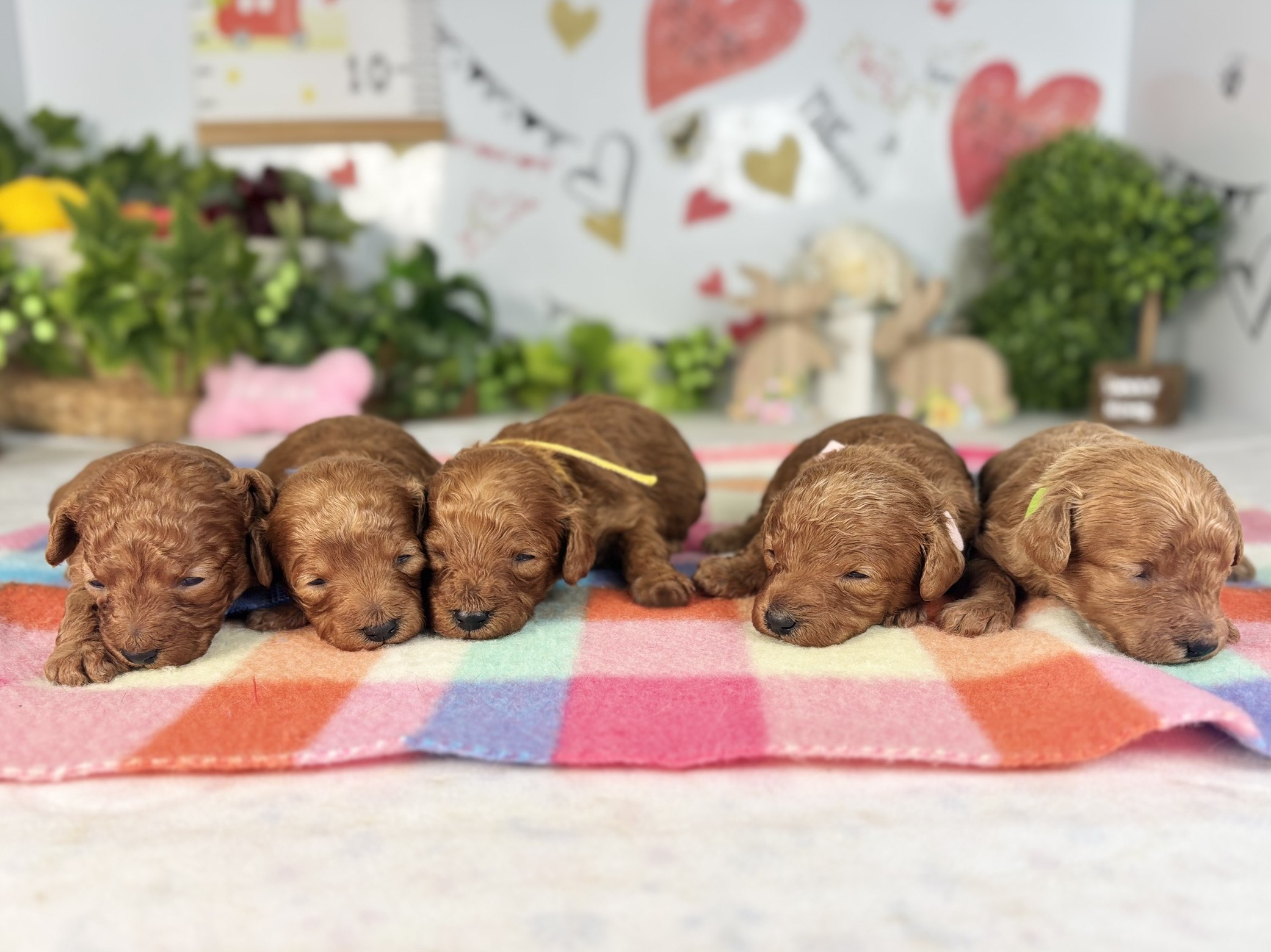 赤ちゃん写真1-3