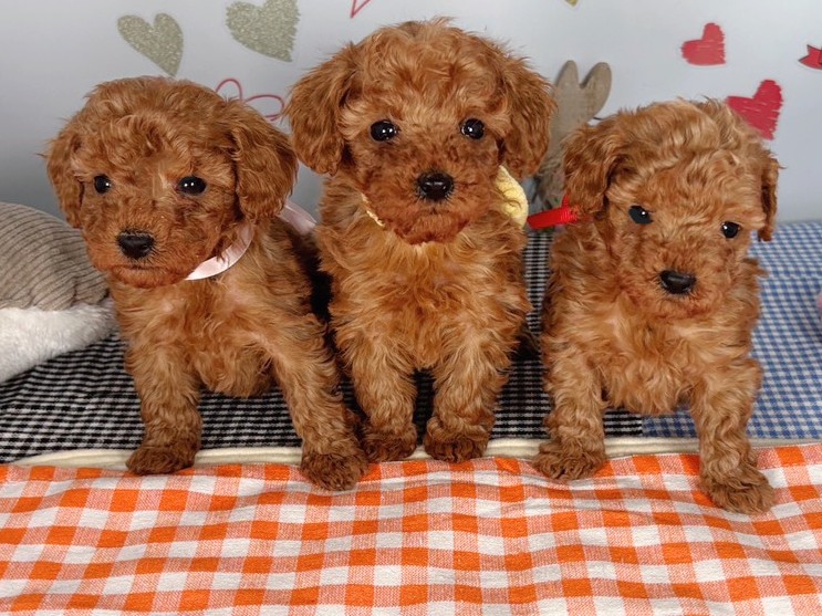 赤ちゃん写真2-3