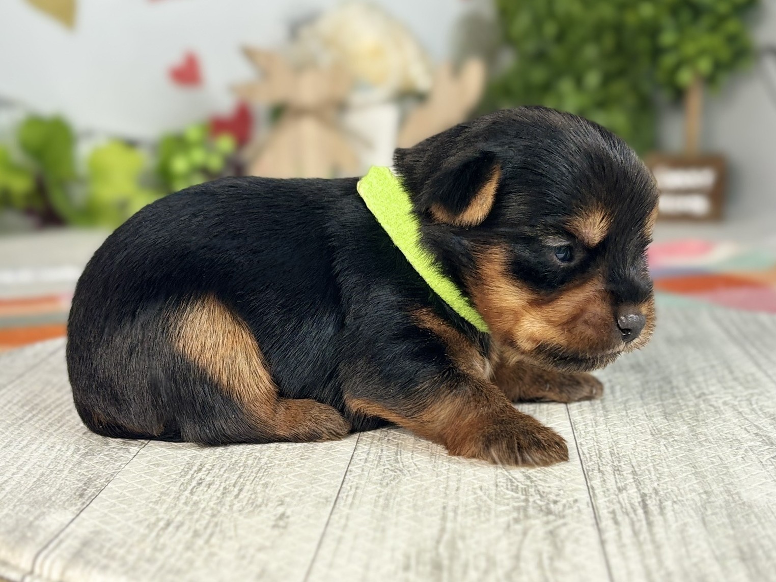 赤ちゃん写真1-2