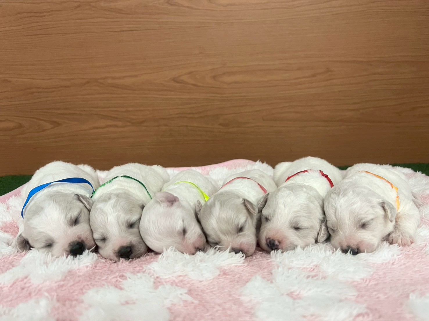 赤ちゃん写真1-3