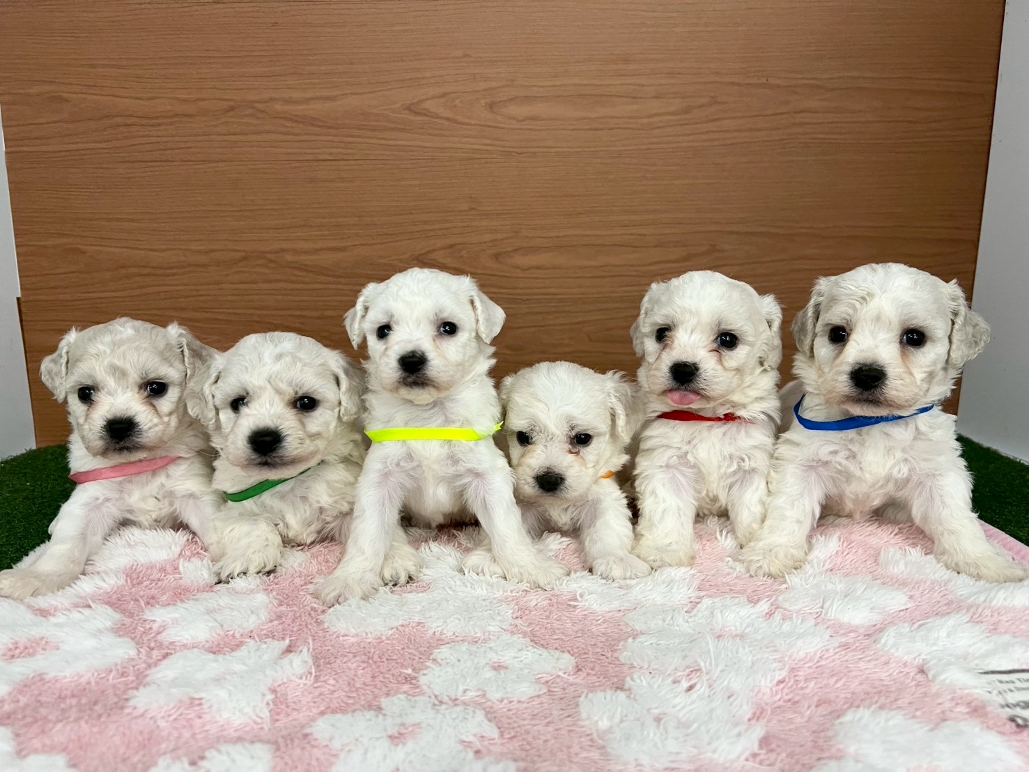 赤ちゃん写真2-3