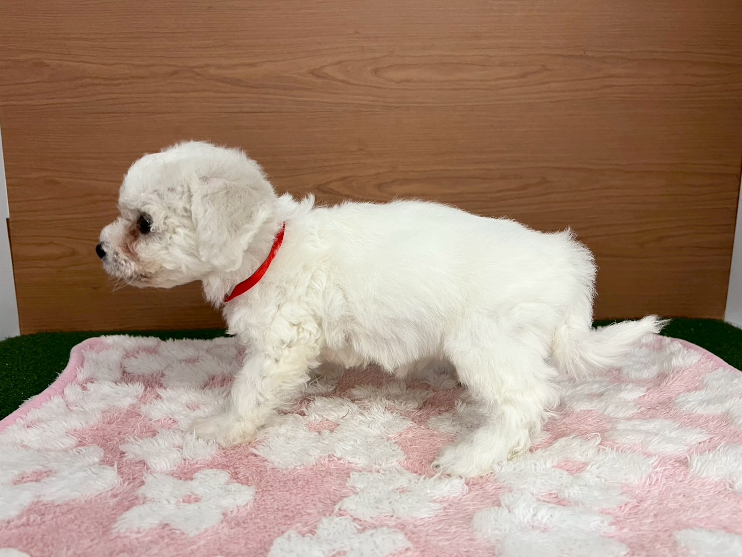 赤ちゃん写真3-2