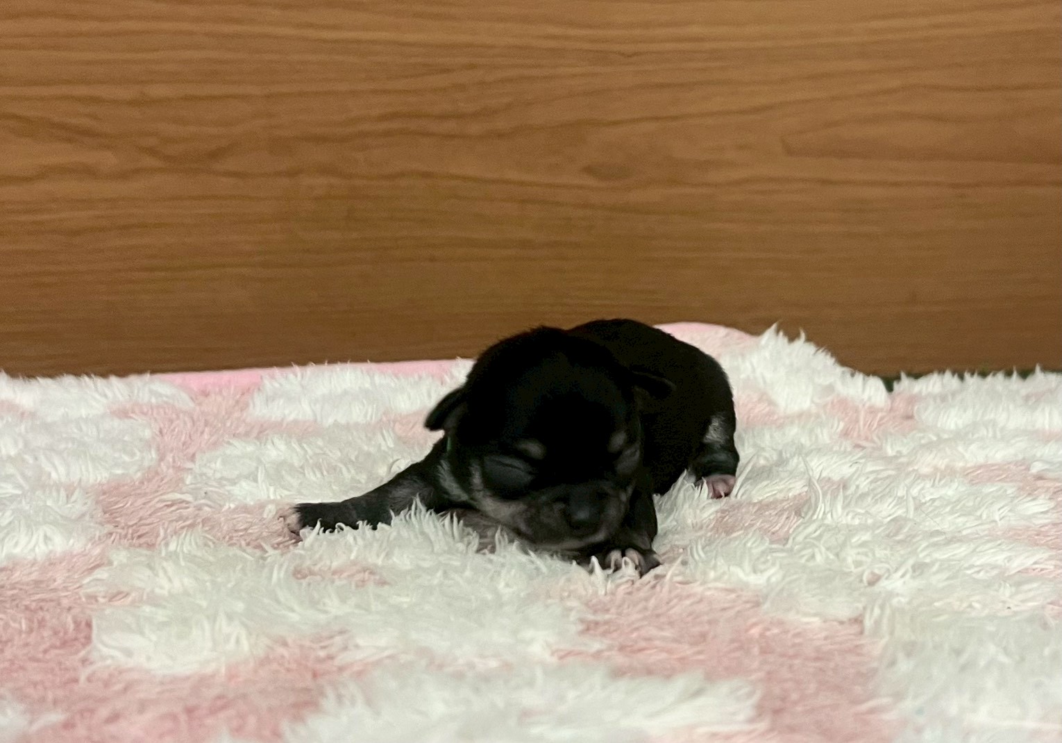 赤ちゃん写真1-1