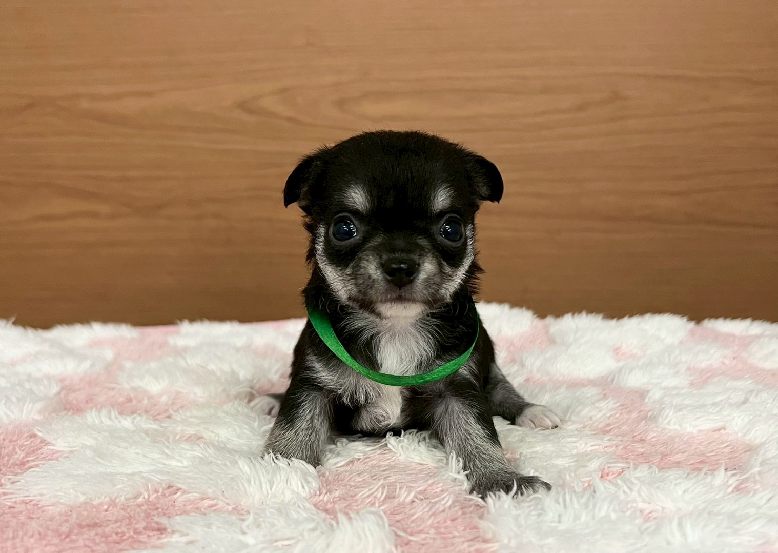 赤ちゃん写真2-1