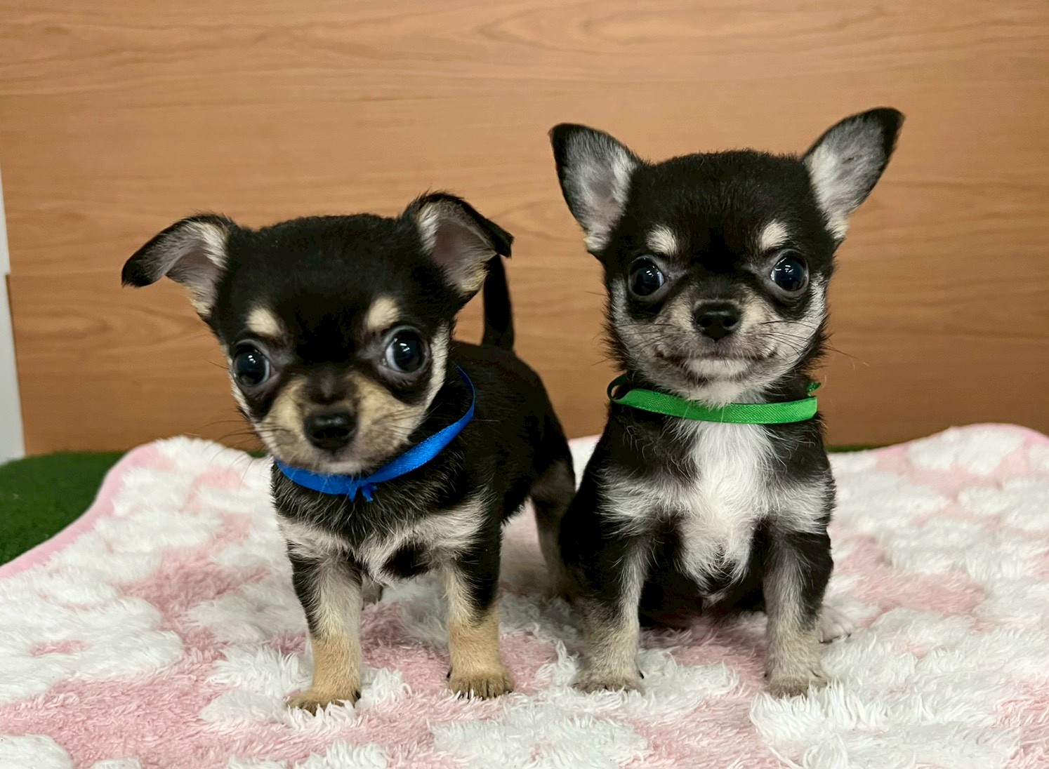 赤ちゃん写真3-3